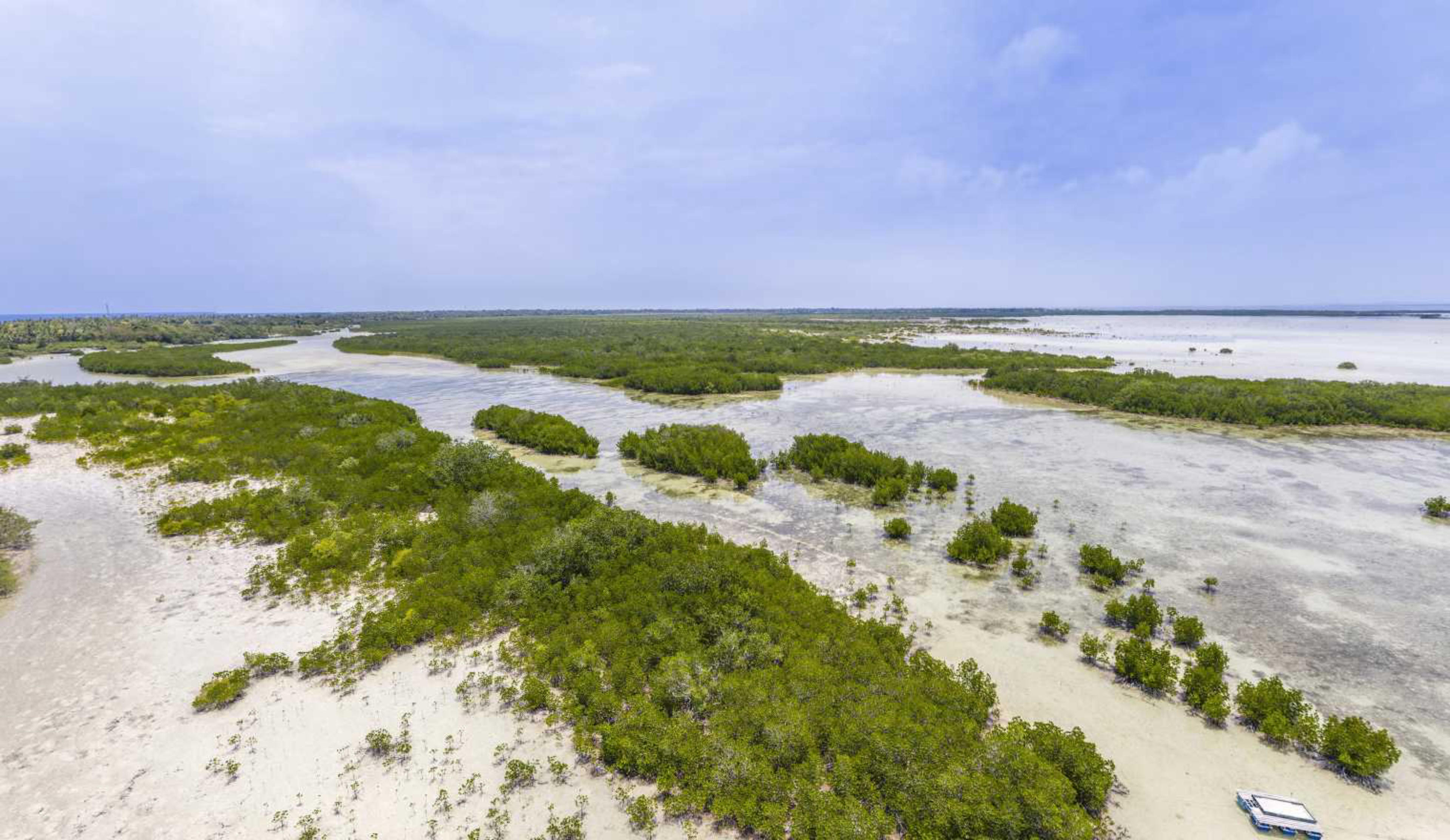 Olango Island Wildlife Sanctuary Nature Center, Cebu, Philippines virtual tour preview