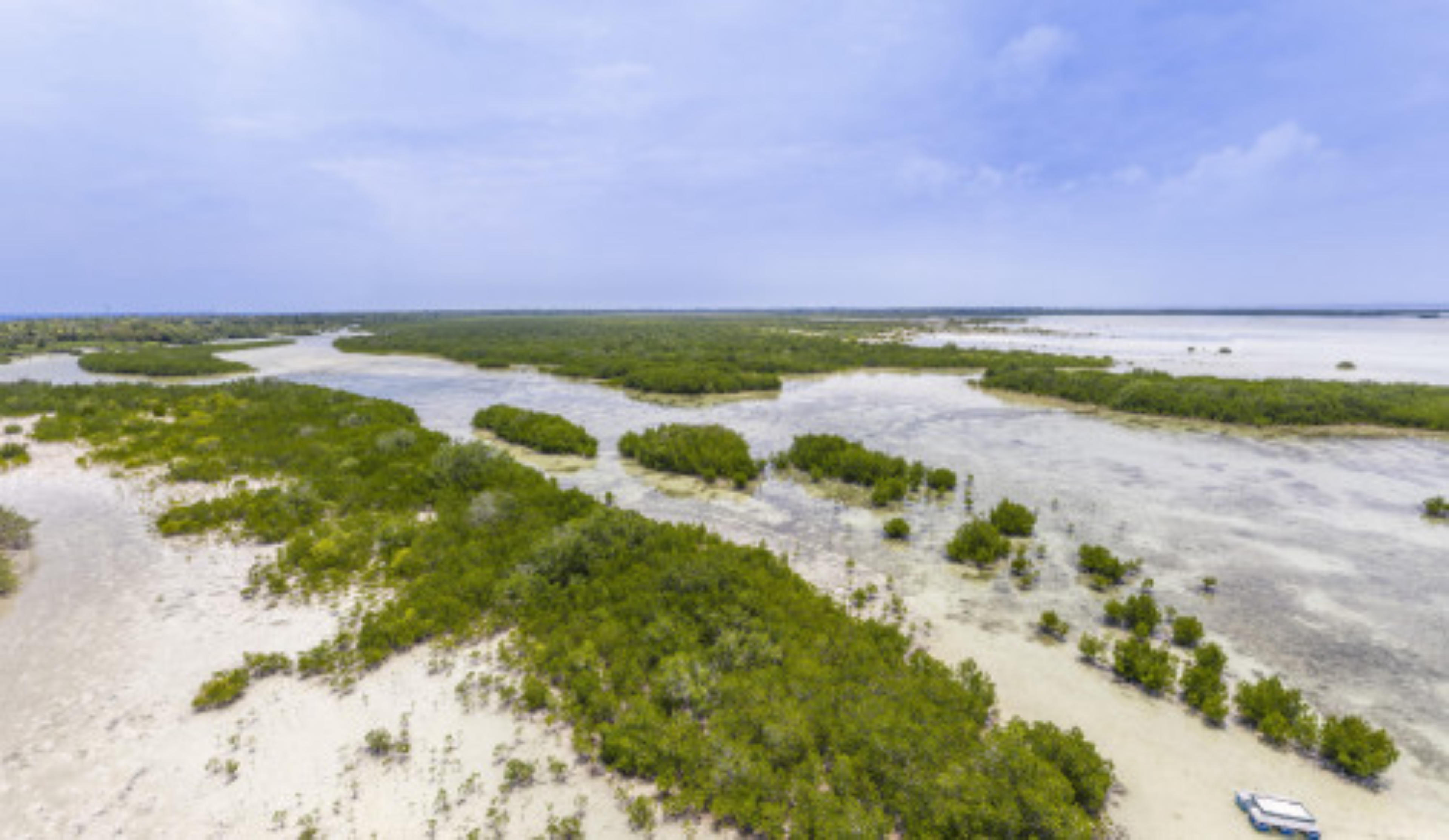 Olango Island Wildlife Sanctuary Nature Center, Cebu, Philippines virtual tour preview