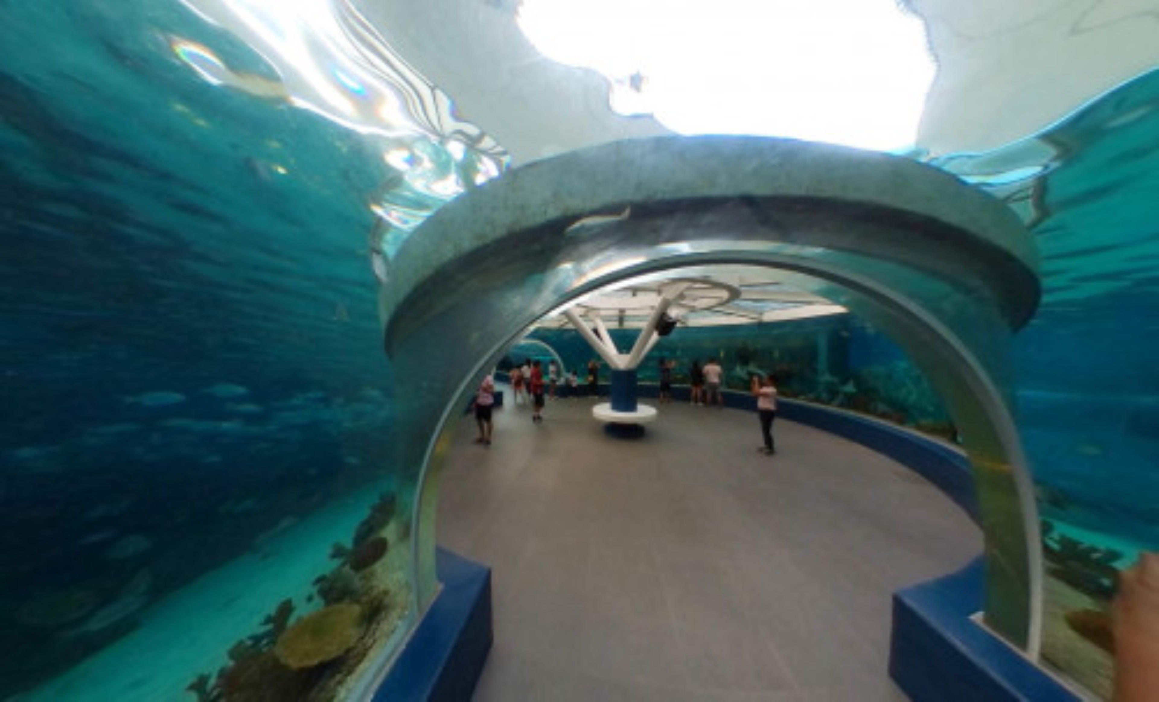 Cebu Ocean Park, Philippines virtual tour preview